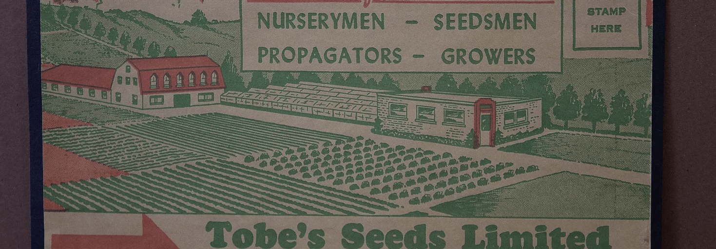 Lakeshore Antiques History